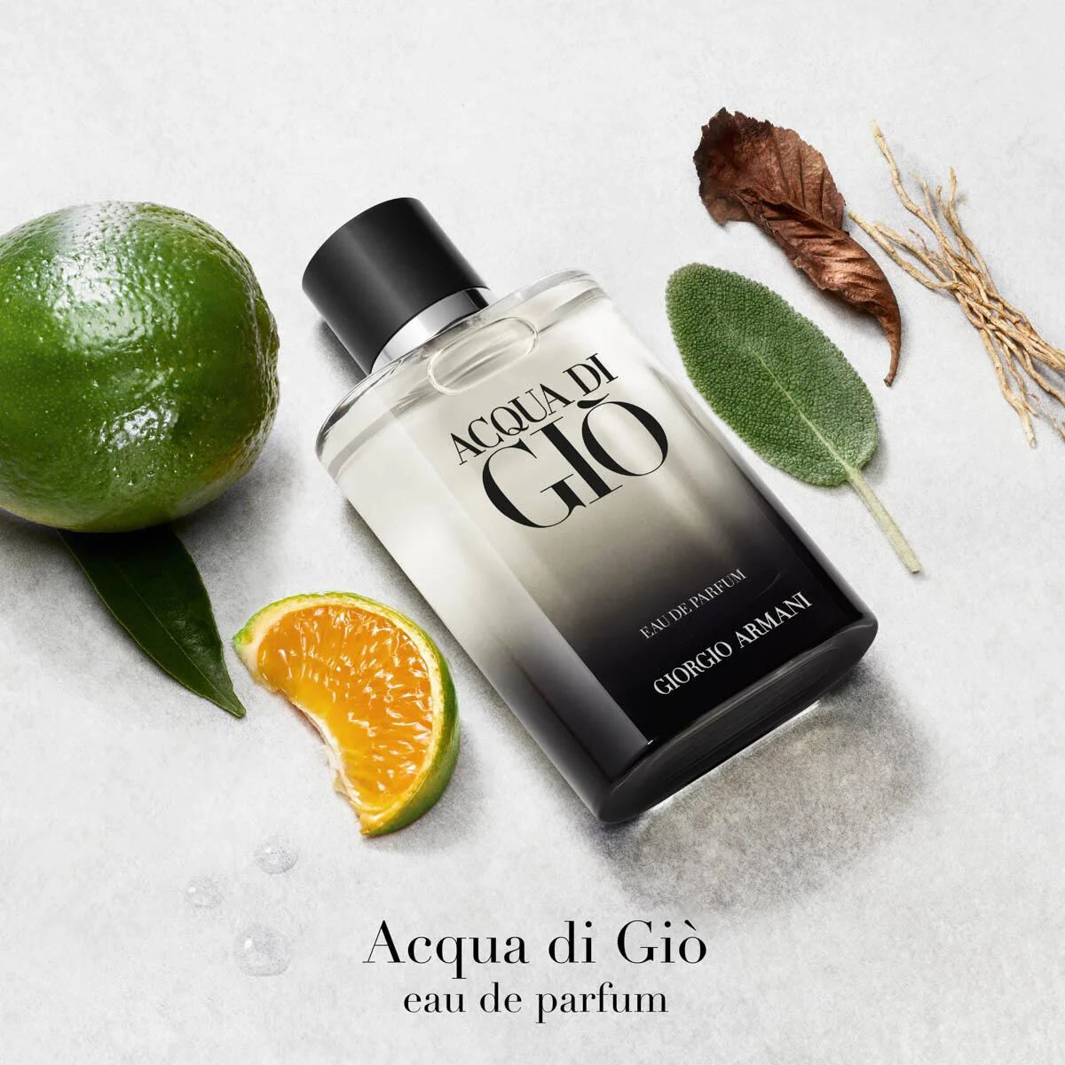 Giorgio armani acqua di gio 100ml eau de parfum for men