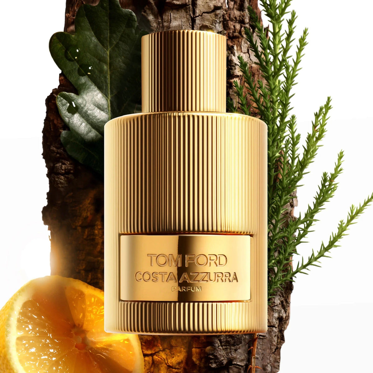 Tom ford costa azzura parfum 100ml perfume house