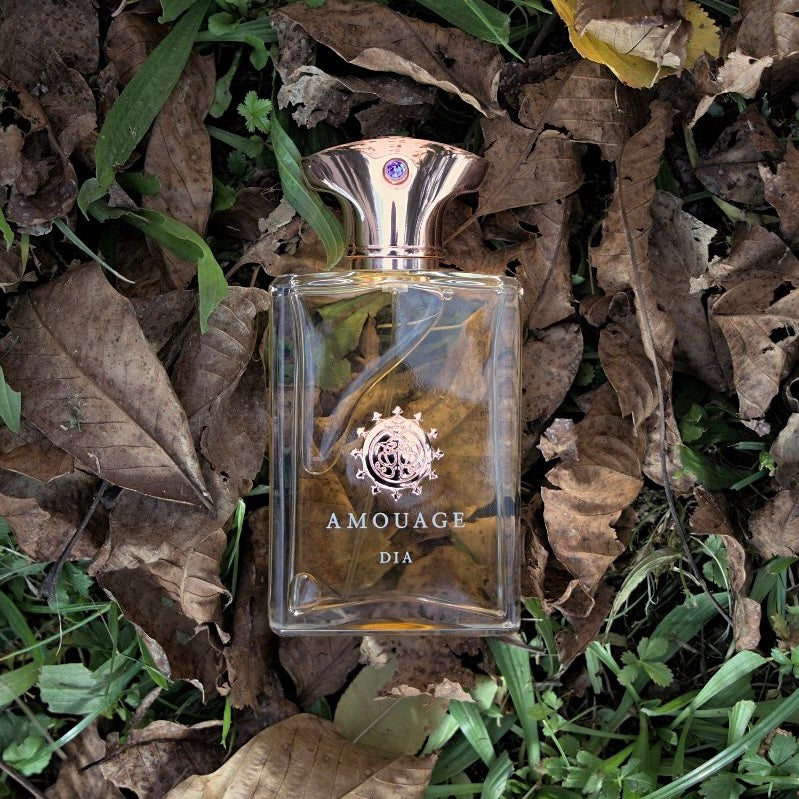 Amouage dia man 100ml perfume house