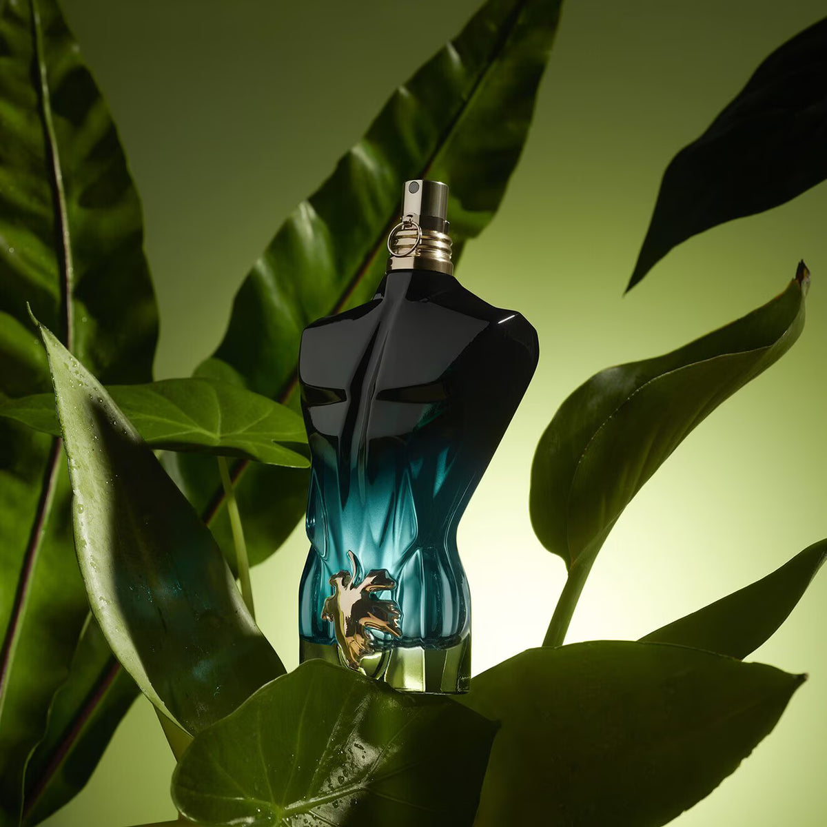 Jpg le beau edt for men 125ml 3