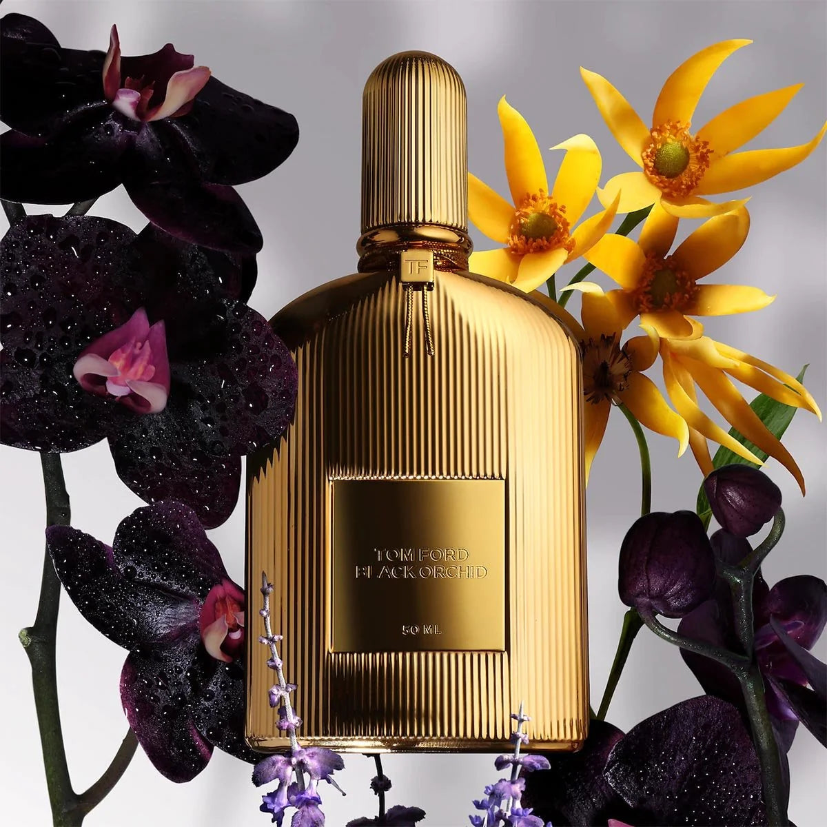 Tom ford black orchid parfum perfum