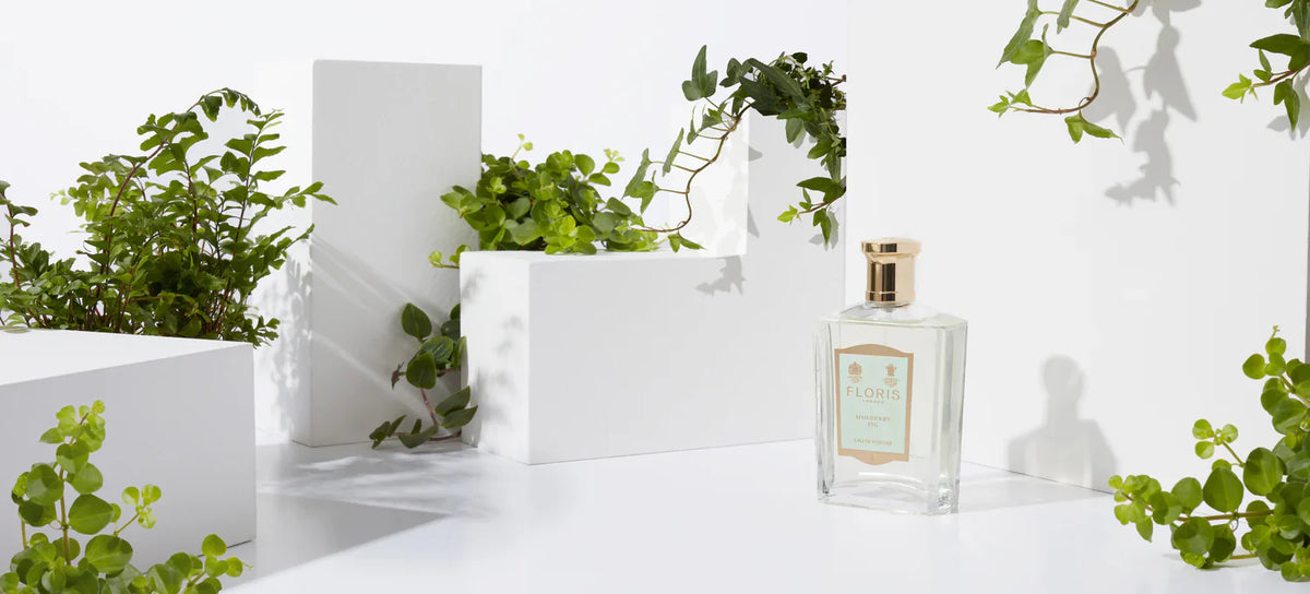 Best perfumes for office, parties & weddings in dubai perfume house