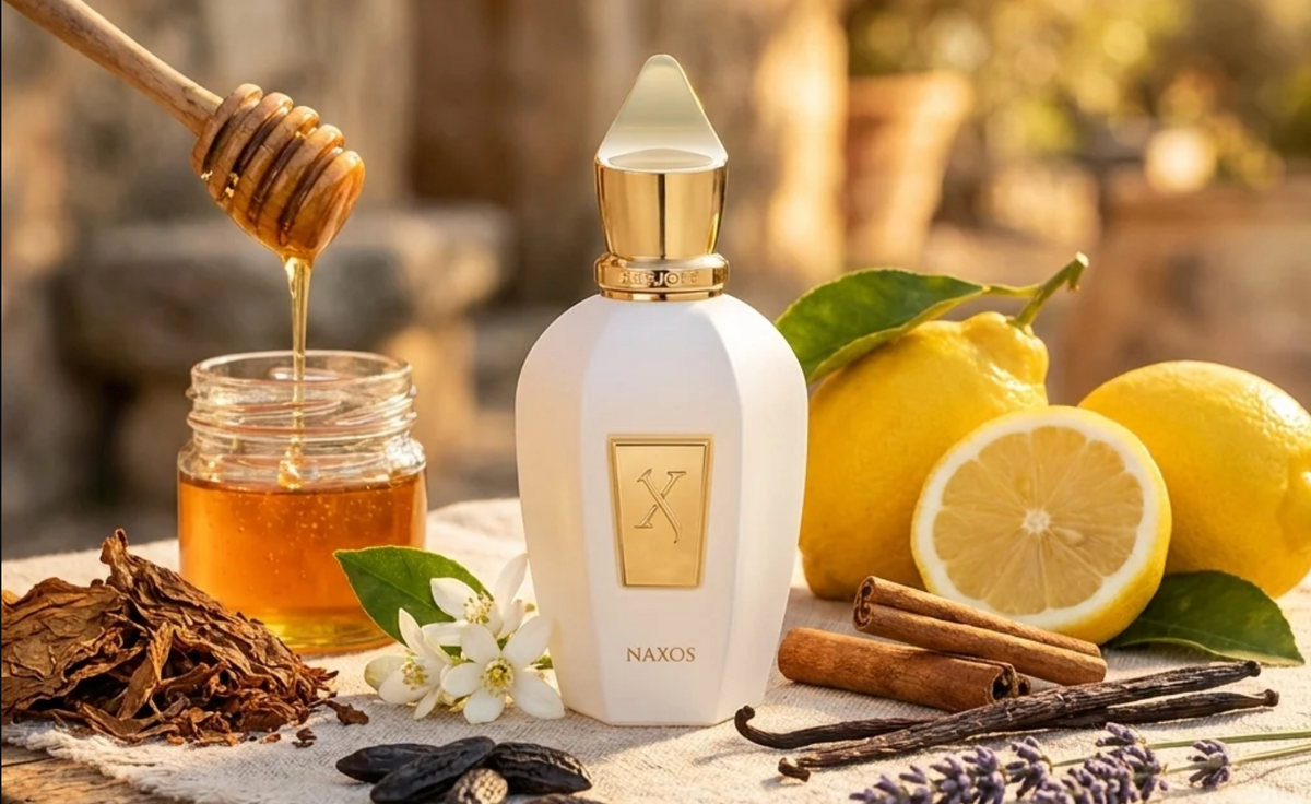 Best xerjoff perfumes for men and women
