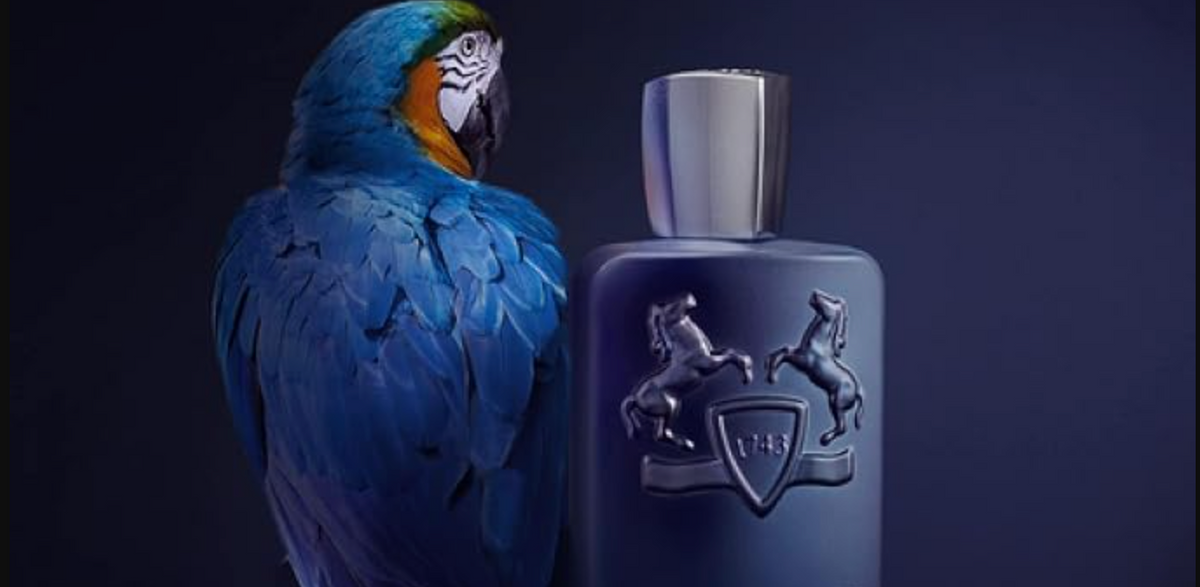 Buy parfums de marly layton uae: price and where to buy authentic online
