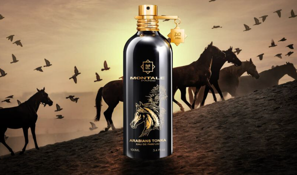 Montale arabians tonka vs intense cafe