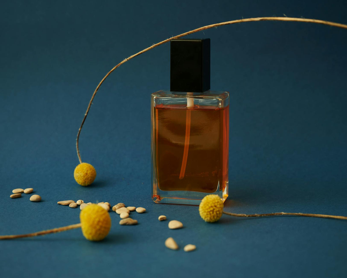 Discover yves saint laurent   perfume house
