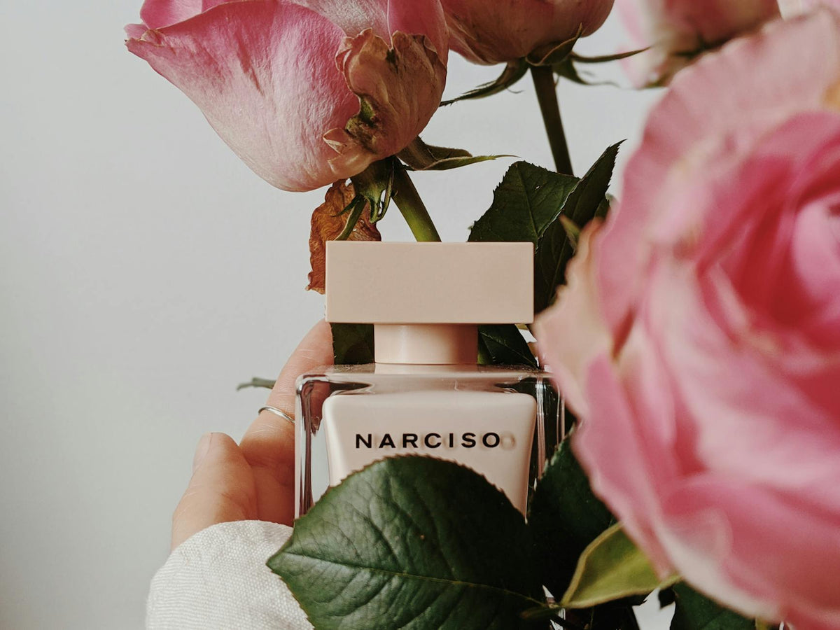 Maison crivelli hibiscus mahijad uae   perfume house