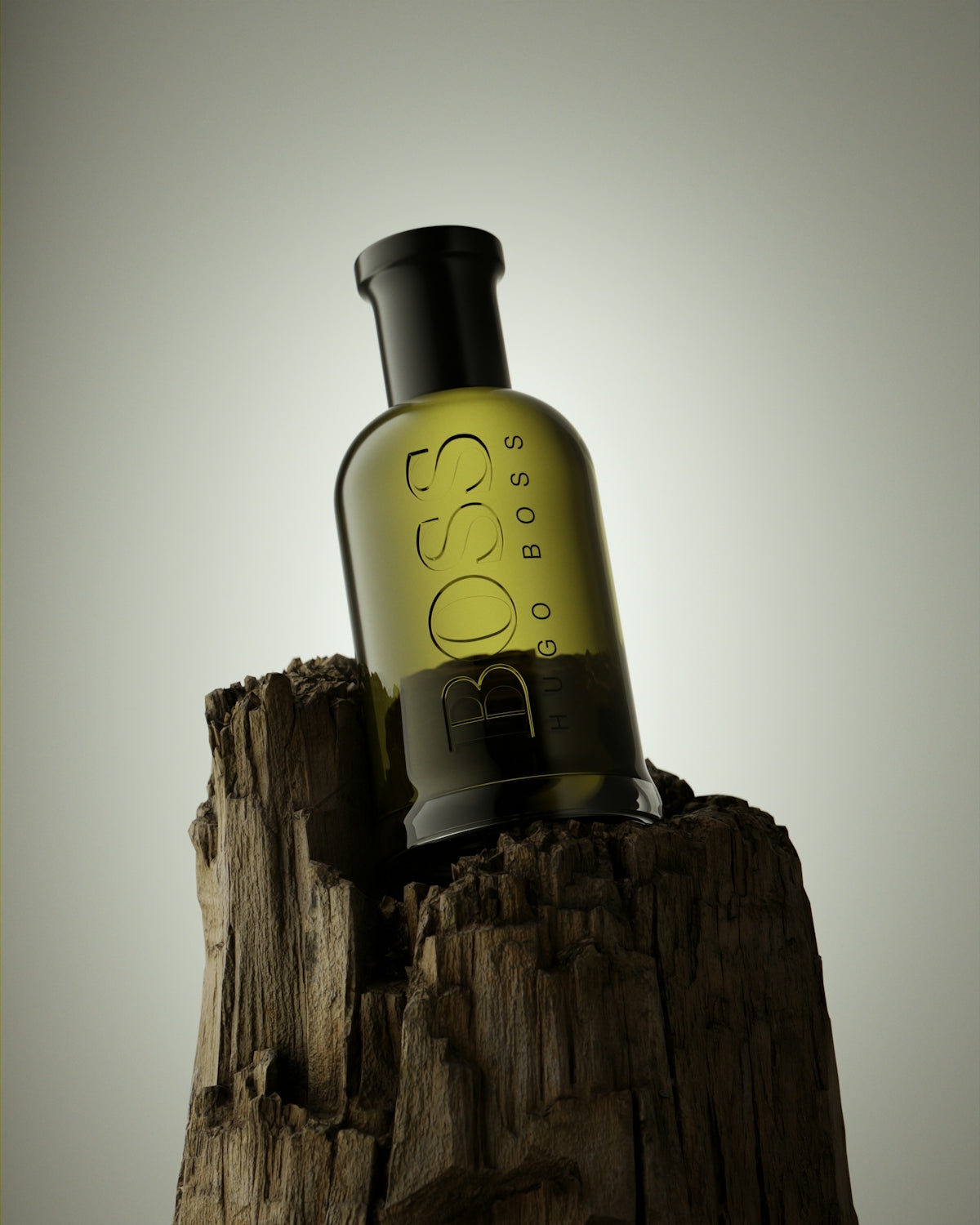 A bottle sitting on top of a tree stump