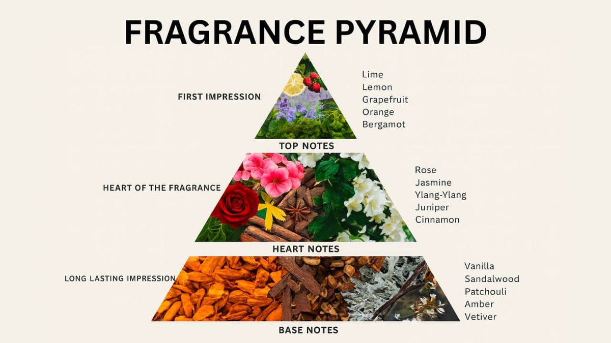 What are top, middle and base notes in perfume?