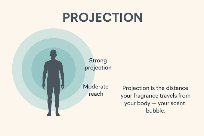 What is perfume projection?