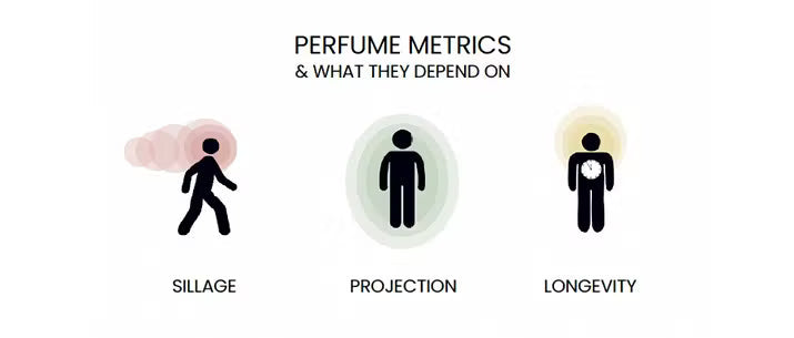 What is perfume sillage?
