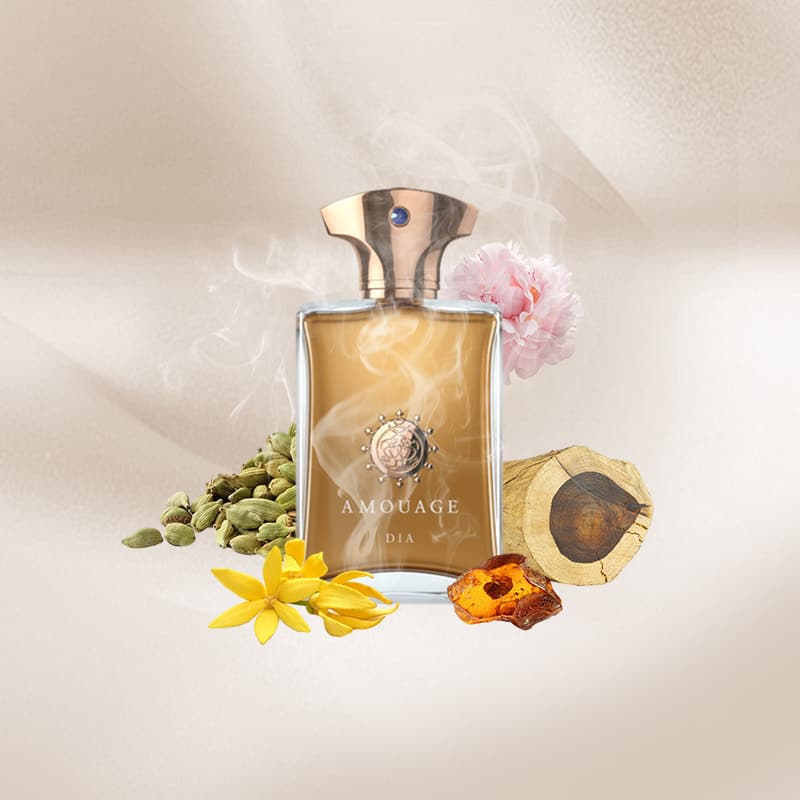 Amouage Dia Man 100ml