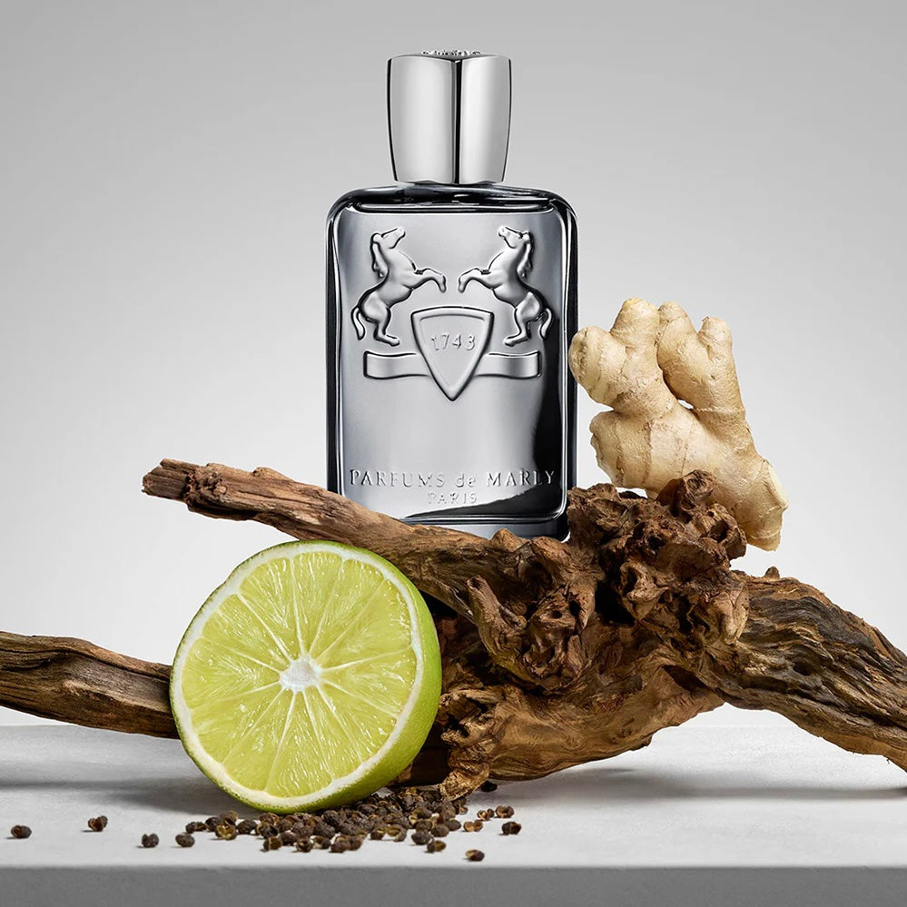 Parfums de marly castley eau de parfum 125ml fresh spicy citrus woody fragrance uae