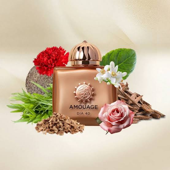 Amouage dia 40 woman exceptional extrait 100ml