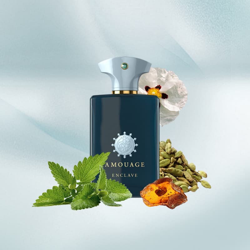 Amouage Enclave Eau de Parfum 100ml