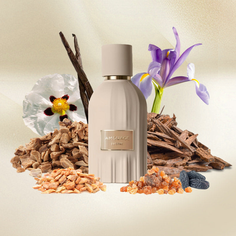 Amouage lustre eau de parfum 100ml