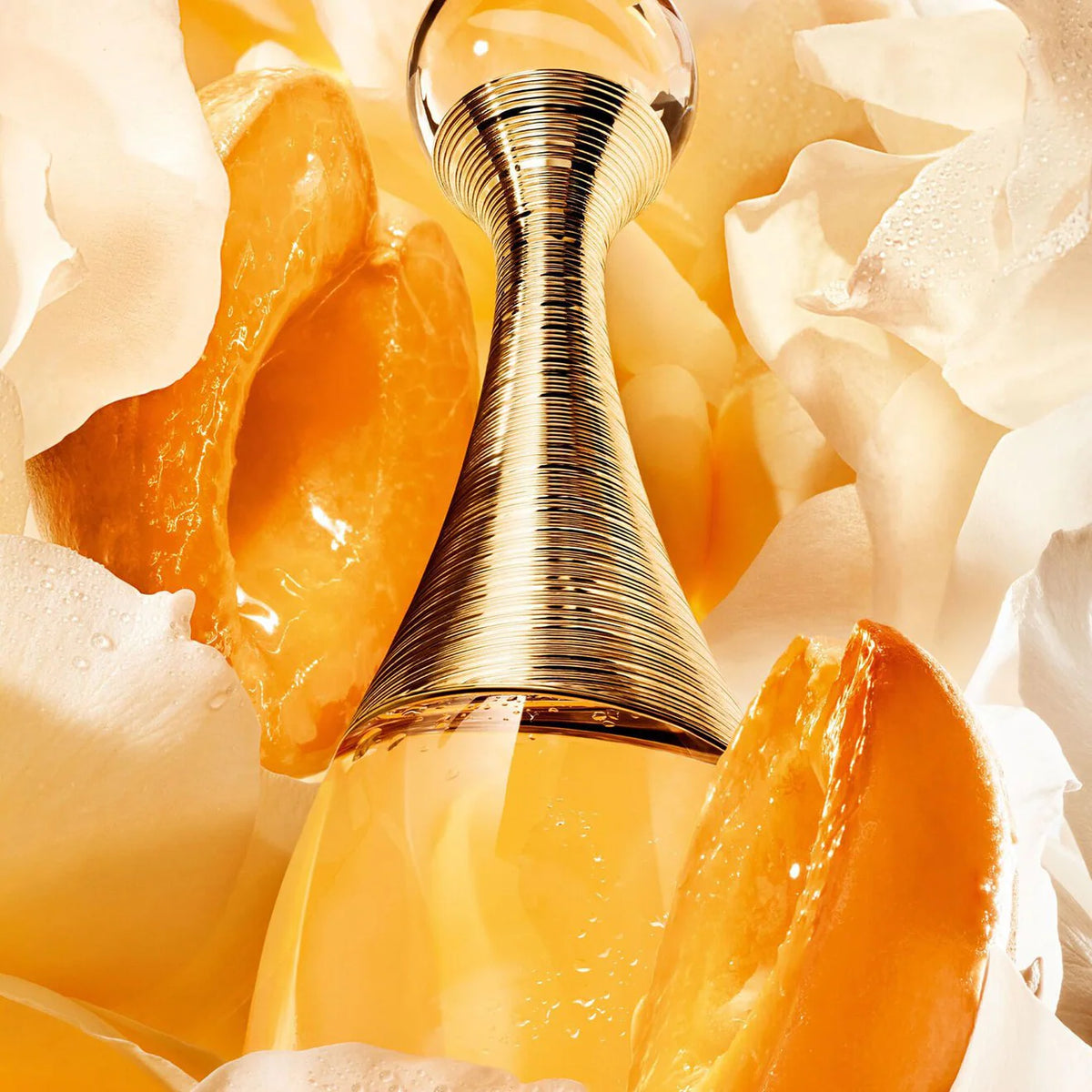 Christian dior j'adore 100ml eau de parfum