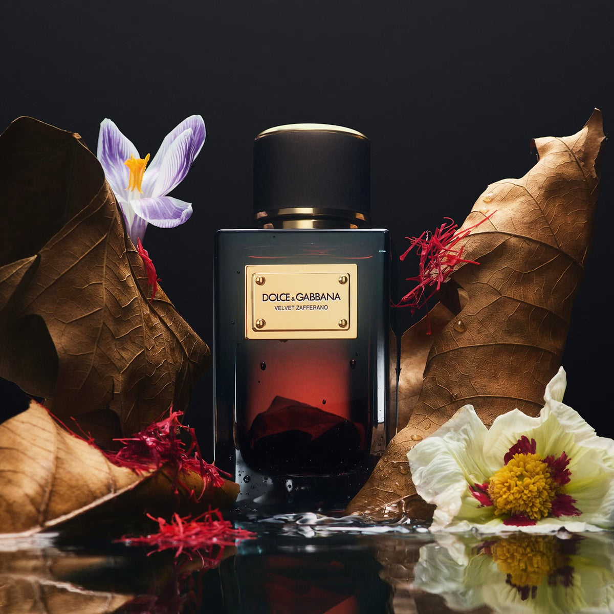 Dolce & gabbana velvet zafferano eau de parfum 100ml luxury saffron perfume uae