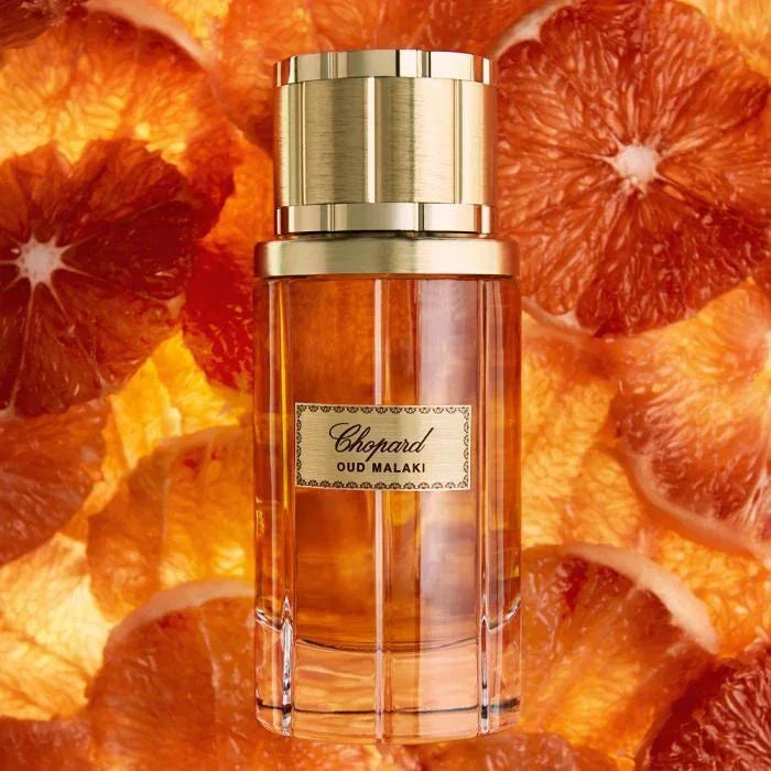 Chopard oud malaki 90ml perfume house