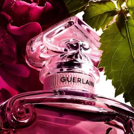 Guerlain La Petite Robe Noire Eau de Parfum Absolue 100ml