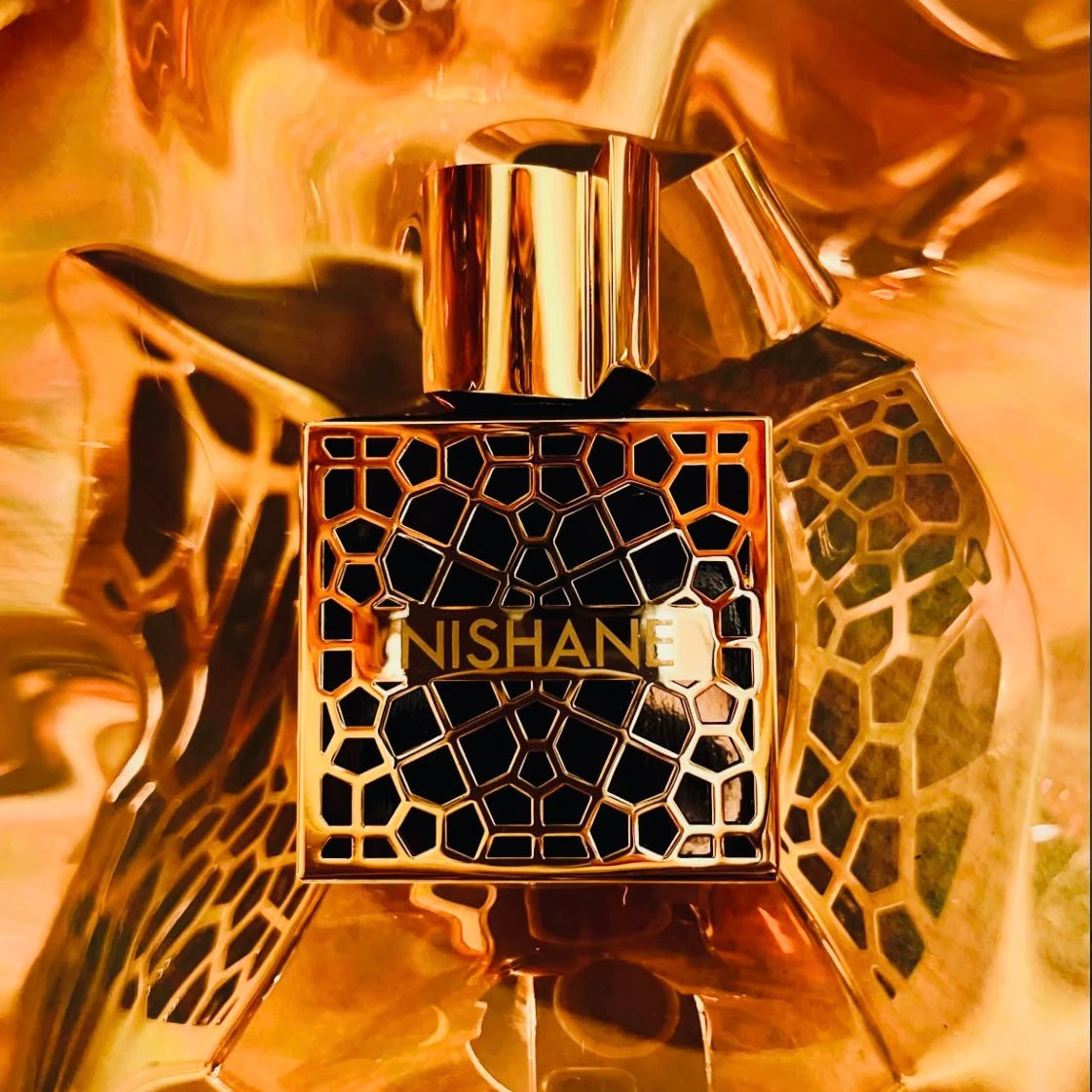 Nishane nefs extrait de parfum 50ml luxury oriental oud niche fragrance bottle