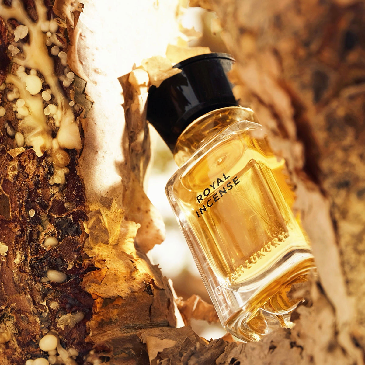 Oman luxury royal incense 100ml perfume house