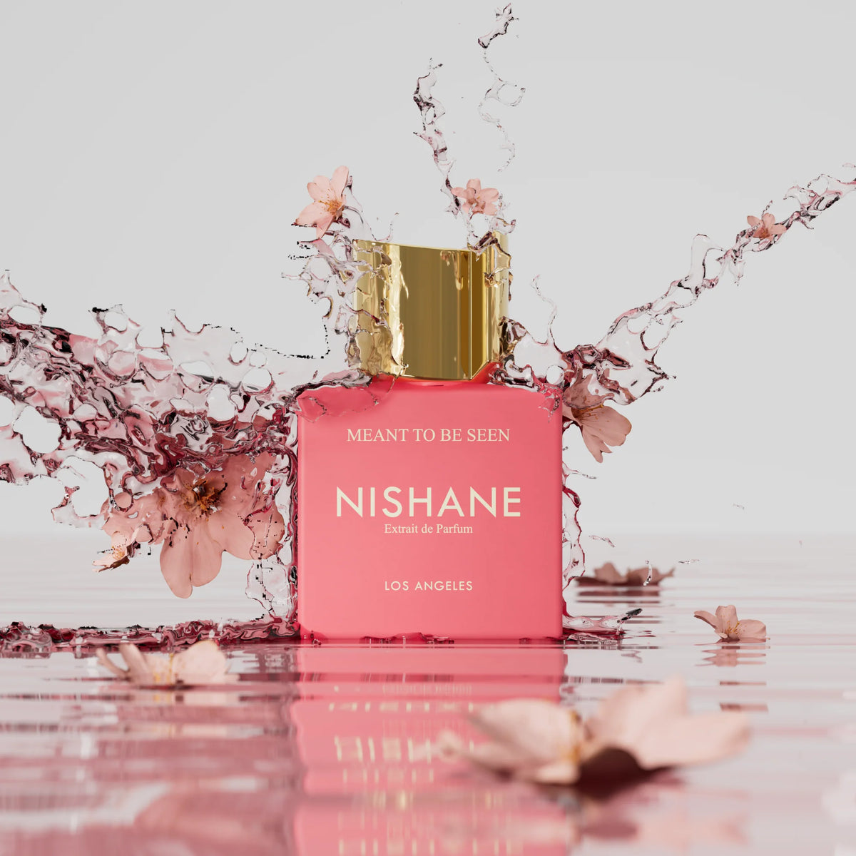 Nishane meant to be seen extrait 100ml 2