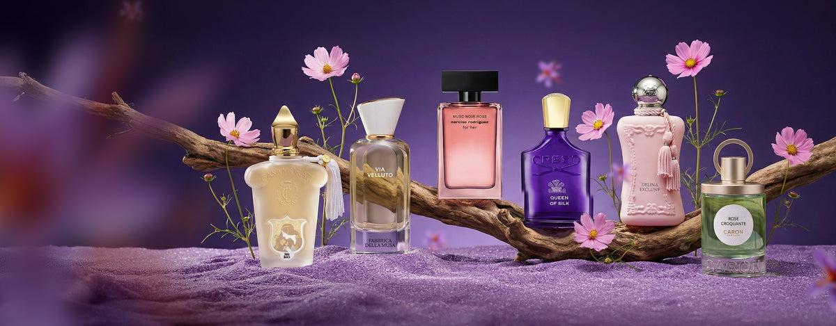 Perfume house buy deals