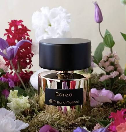 Tiziana terenzi borea extrait de parfum 100ml
