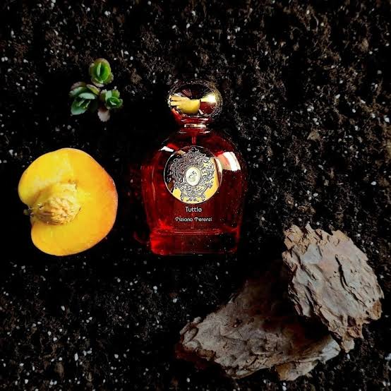 Tiziana Terenzi Tuttle 100ml